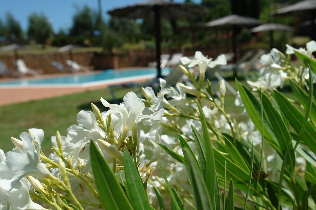 Apartamento Pie Di Costa Montaione Exterior foto